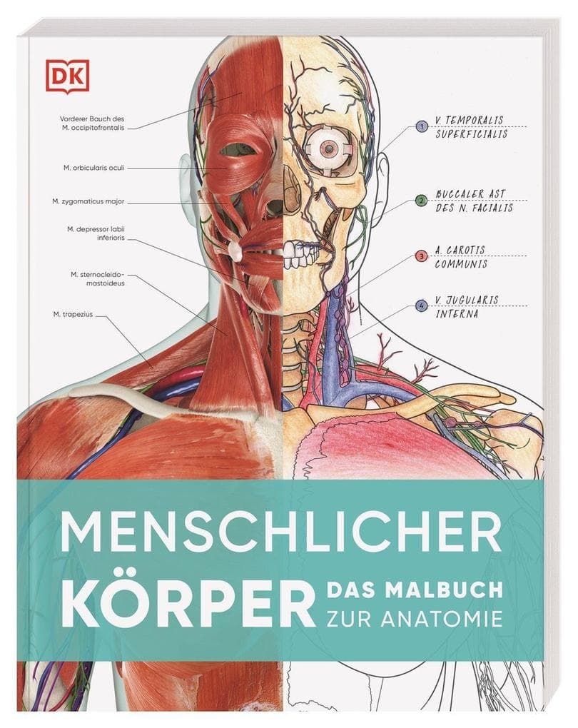 Menschlicher Körper: Das Malbuch zur Anatomie. Mit über 200 Zeichnungen zum Ausmalen, Beschriften und Lernen