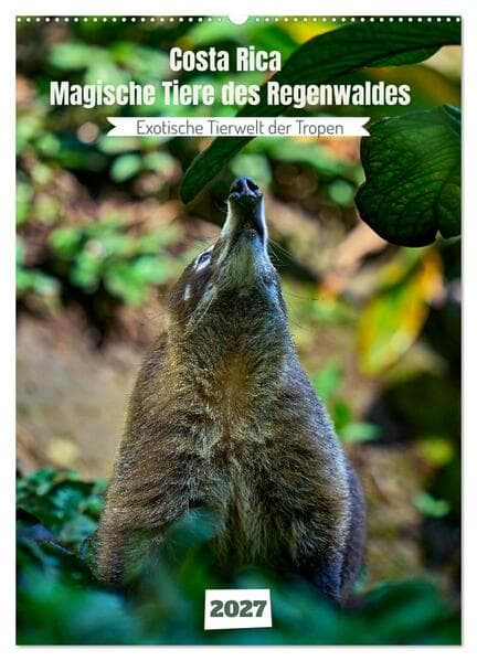 Costa Rica - Magische Tiere des Regenwaldes (Wandkalender 2027 DIN A2 hoch), CALVENDO Monatskalender