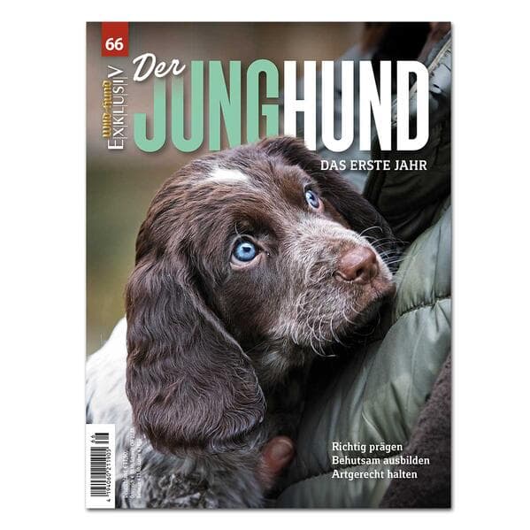 WILD UND HUND EXKLUSIV NR. 66: DER JUNGHUND - DAS ERSTE JAHR