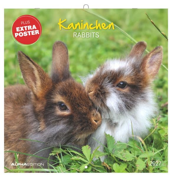 Kaninchen 2027