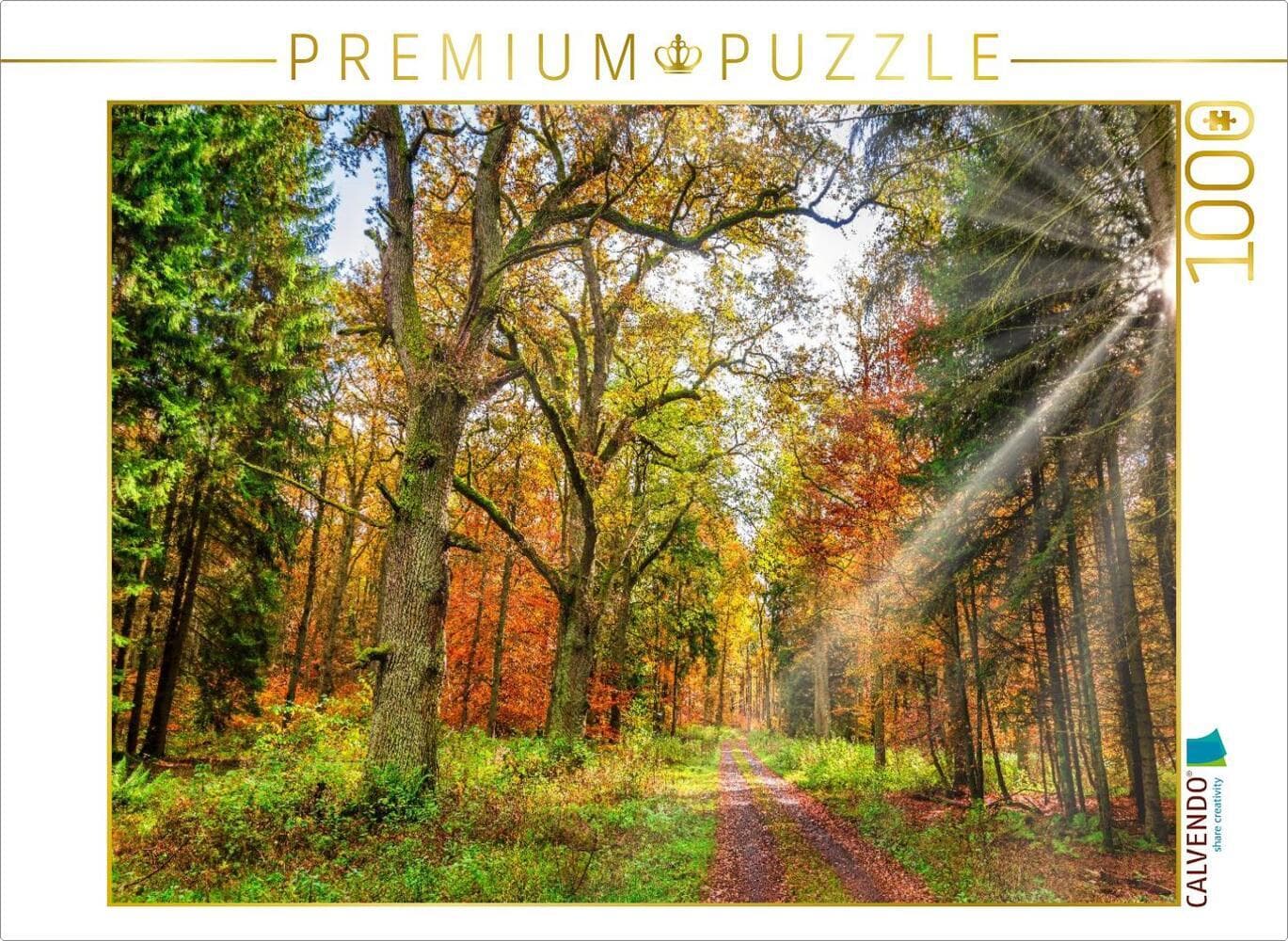 CALVENDO Puzzle Märchenhafter Wald mit knorrigen Eichen im Herbstlicht lädt zum Wandern ein, Hessen Deutschland | 1000 Teile Lege-Größe 64x48cm Foto-Puzzle für glückliche Stunden