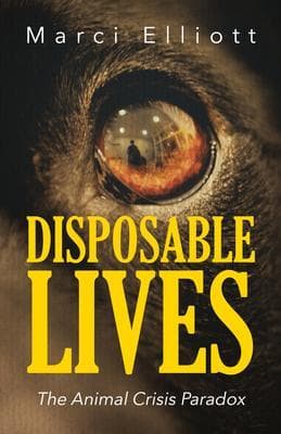 Disposable Lives