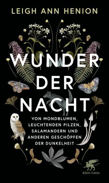 Wunder der Nacht