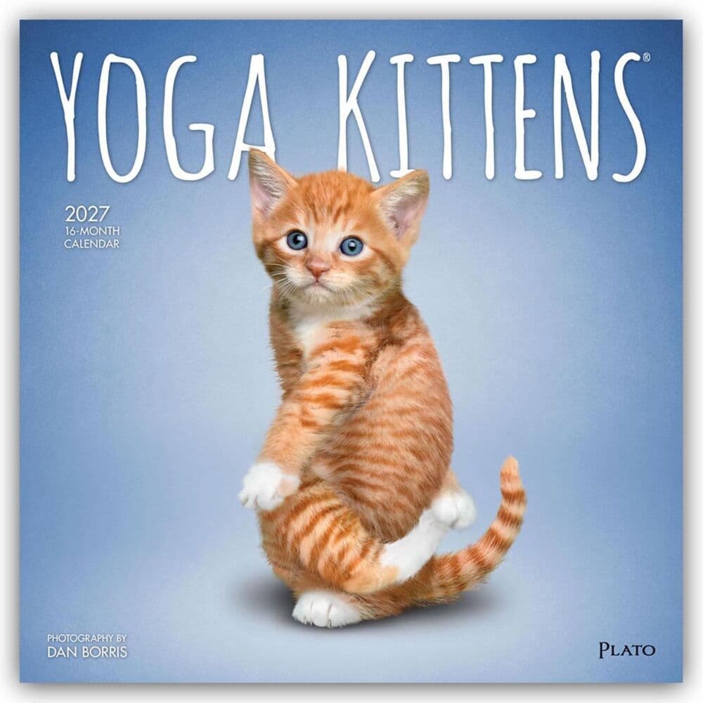 Yoga Kittens - Kätzchen Yoga 2027 - 16-Monatskalender