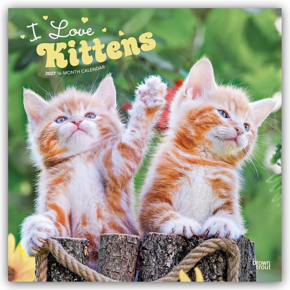I Love Kittens - Ich liebe Katzenbabys 2027 - 16-Monatskalender