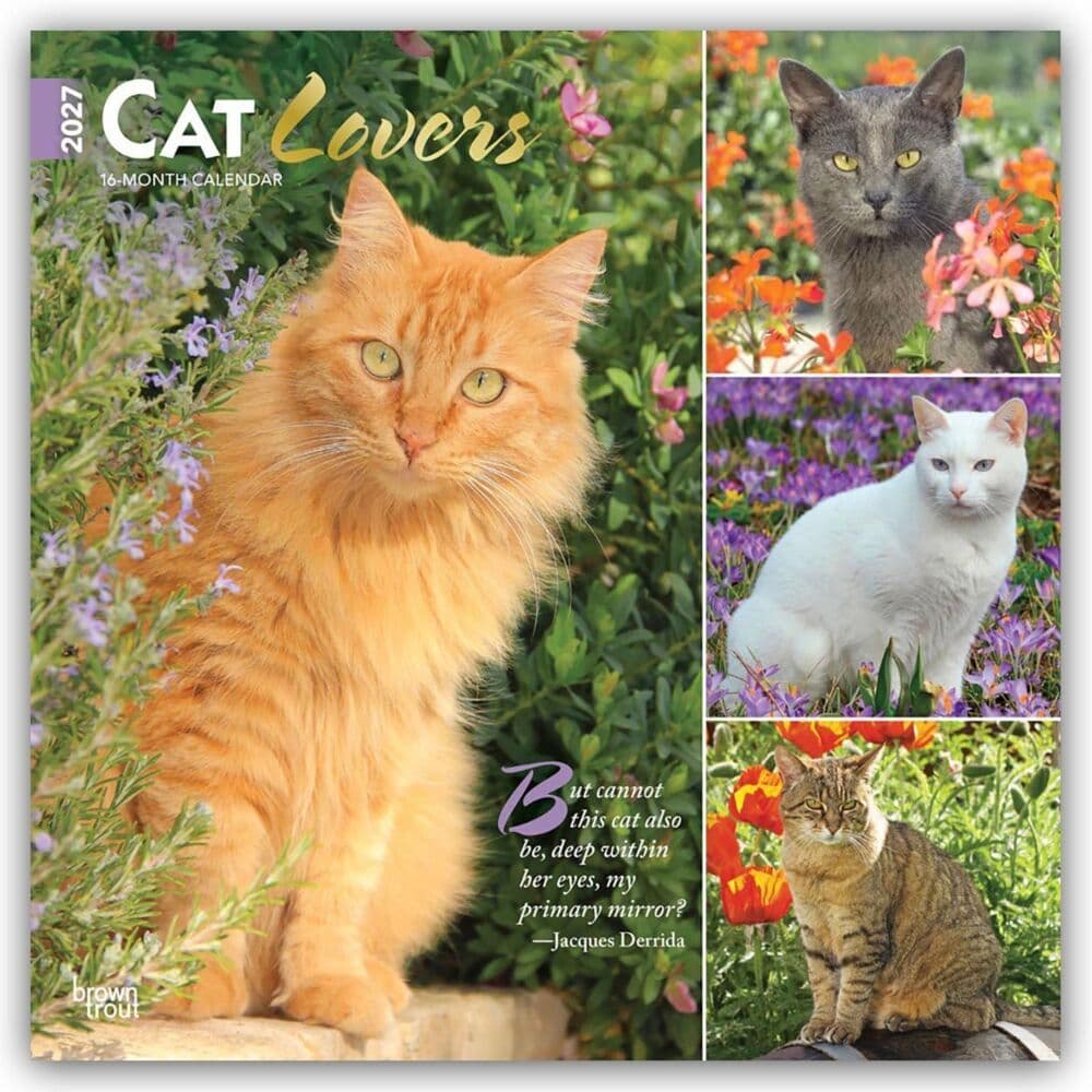 Cat Lovers - Katzenliebhaber 2027 - 16-Monatskalender