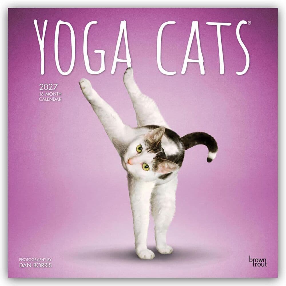 Yoga Cats - Katzen Yoga 2027 - 16-Monatskalender