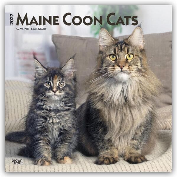 Maine Coon Cats - Maine Coon Katzen 2027 - 16-Monatskalender