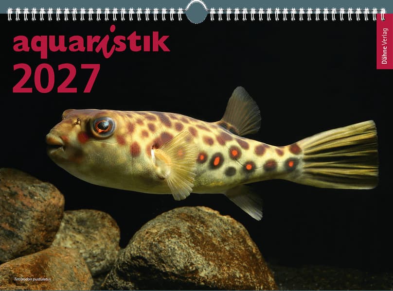 aquaristik 2027