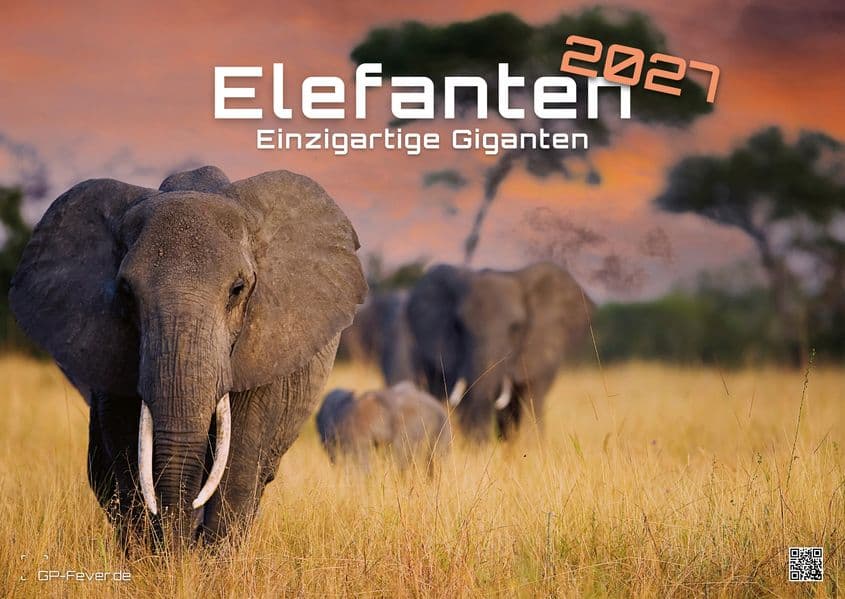 Elefanten - einzigartige Giganten - 2027 - Kalender DIN A2