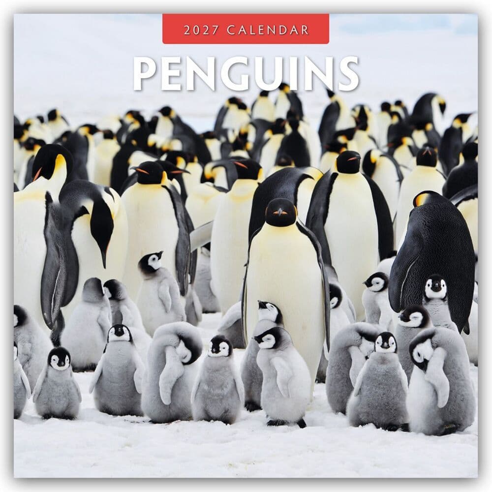 Penguins - Pinguine 2027 - 16-Monatskalender