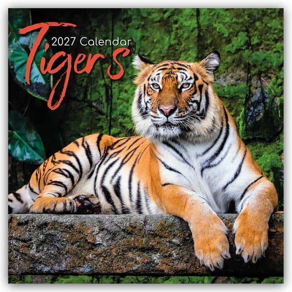 Tigers - Tiger 2027 - 16-Monatskalender