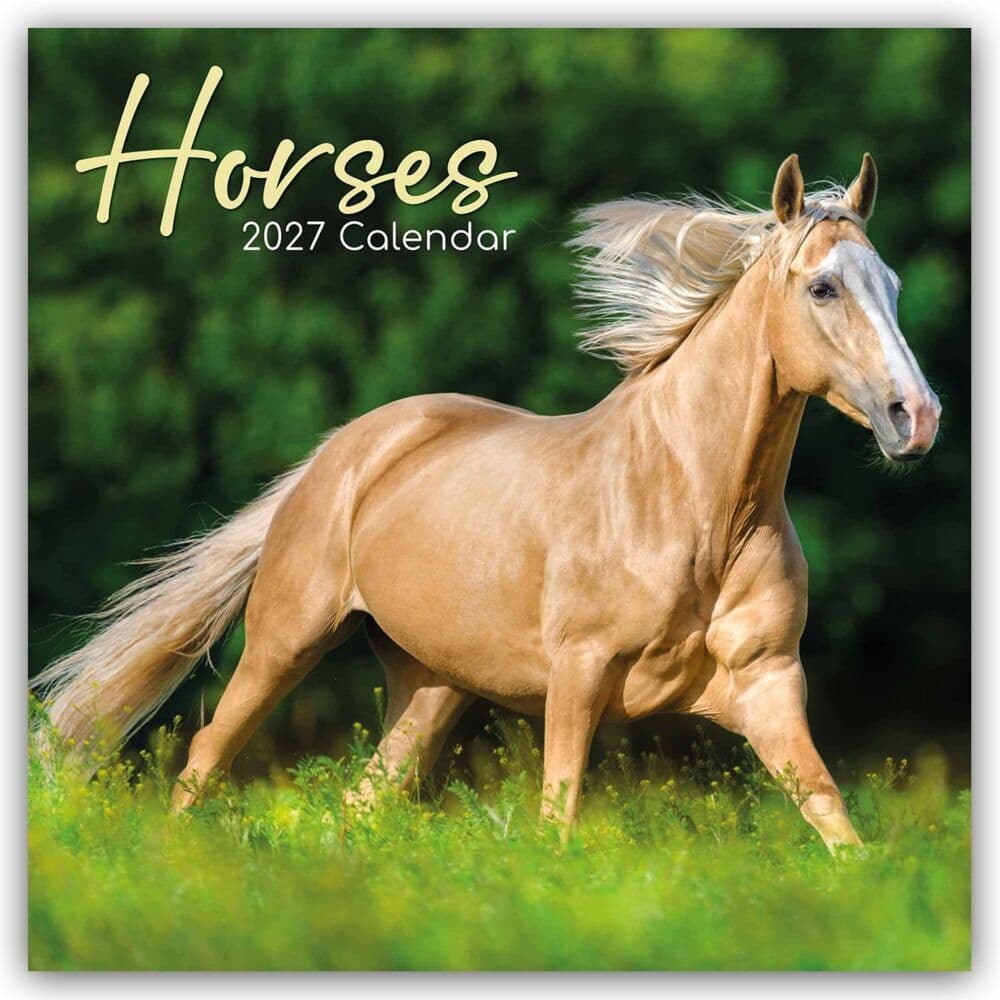 Horses - Pferde 2027 - 16-Monatskalender