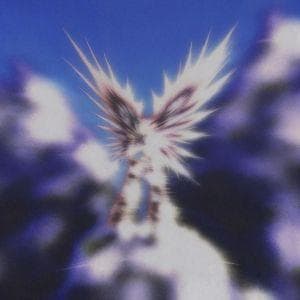 Viagezero