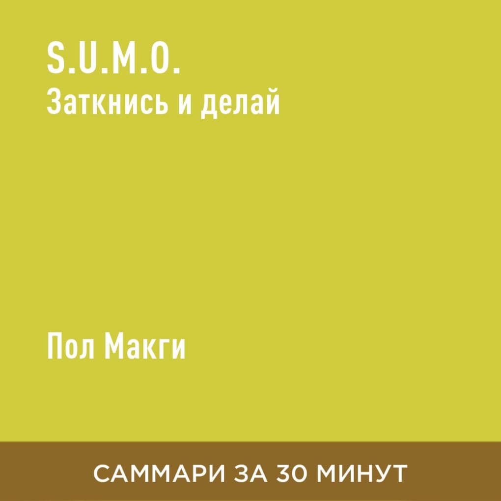 S.U.M.O. Zatknis' i delay (kratkoye izlozheniye)