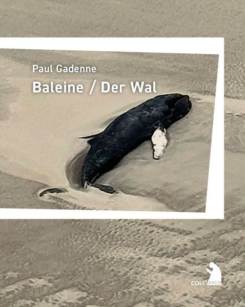 Baleine / Der Wal