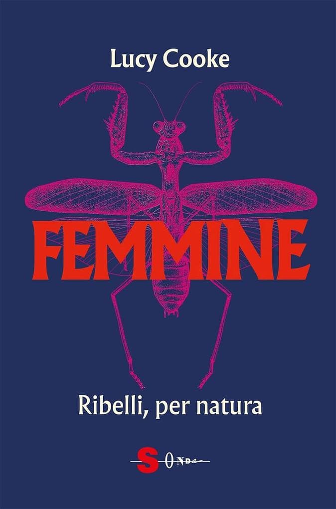 Femmine
