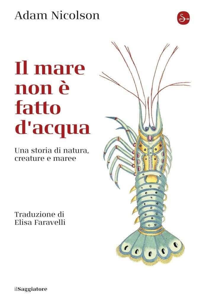 Il mare non è fatto di acqua