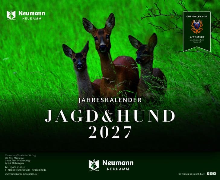 Jagd & Hund 2027 Kalender