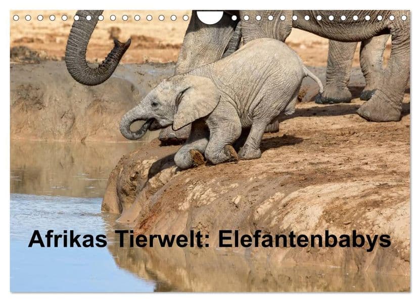 Afrikas Tierwelt: Elefantenbabys (Wandkalender 2027 DIN A4 quer), CALVENDO Monatskalender