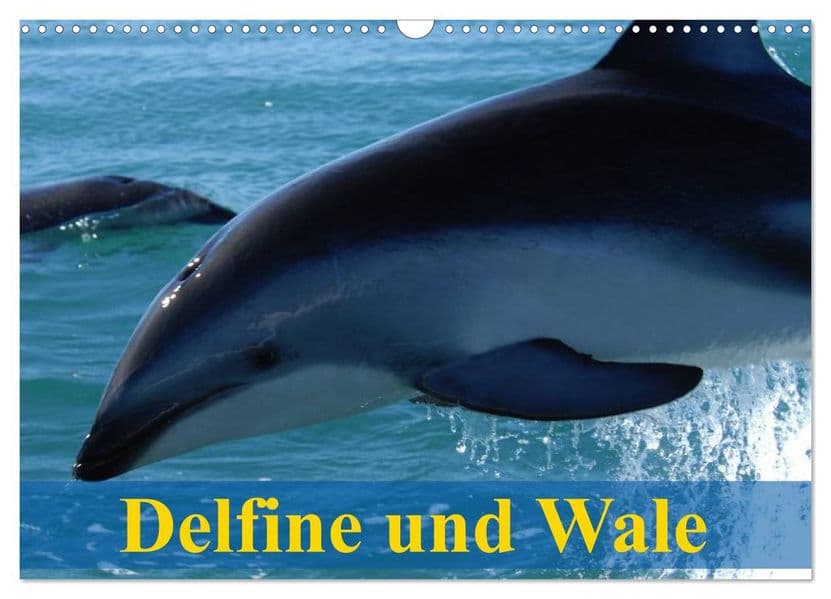 Delfine und Wale (Wandkalender 2027 DIN A3 quer), CALVENDO Monatskalender