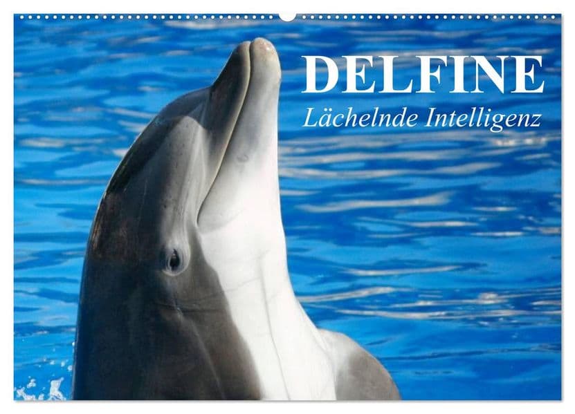 Delfine - Lächelnde Intelligenz (Wandkalender 2027 DIN A2 quer), CALVENDO Monatskalender