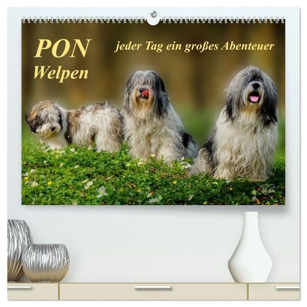 PON - Welpen, jeder Tag ein großes Abenteuer (hochwertiger Premium Wandkalender 2027 DIN A2 quer), Kunstdruck in Hochglanz