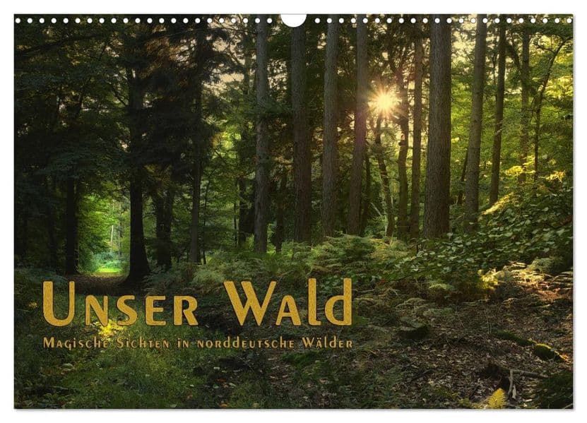 Unser Wald - Magische Sichten in norddeutsche Wälder / Geburtstagskalender (Wandkalender 2027 DIN A3 quer), CALVENDO Monatskalender