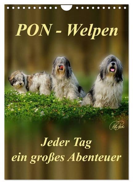 PON-Welpen - jeder Tag ein großes Abenteuer / Planer (Wandkalender 2027 DIN A4 hoch), CALVENDO Monatskalender