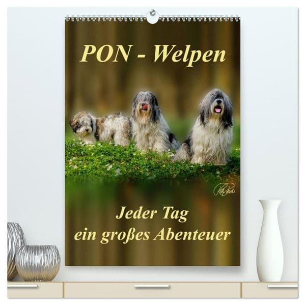 PON-Welpen - jeder Tag ein großes Abenteuer / Planer (hochwertiger Premium Wandkalender 2027 DIN A2 hoch), Kunstdruck in Hochglanz