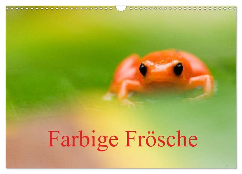Farbige Frösche (Wandkalender 2027 DIN A3 quer), CALVENDO Monatskalender