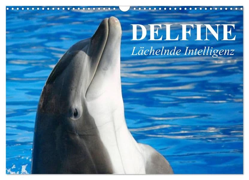 Delfine - Lächelnde Intelligenz (Wandkalender 2027 DIN A3 quer), CALVENDO Monatskalender