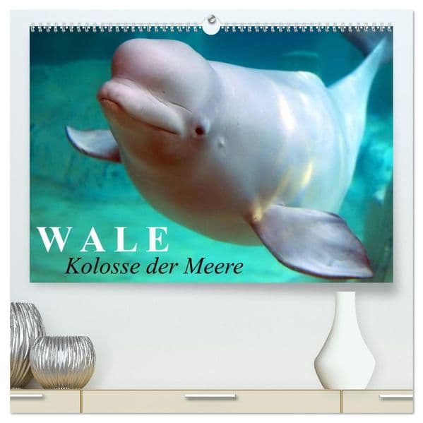 Wale - Kolosse der Meere (hochwertiger Premium Wandkalender 2027 DIN A2 quer), Kunstdruck in Hochglanz