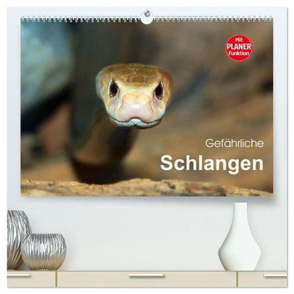 Gefährliche Schlangen (hochwertiger Premium Wandkalender 2027 DIN A2 quer), Kunstdruck in Hochglanz