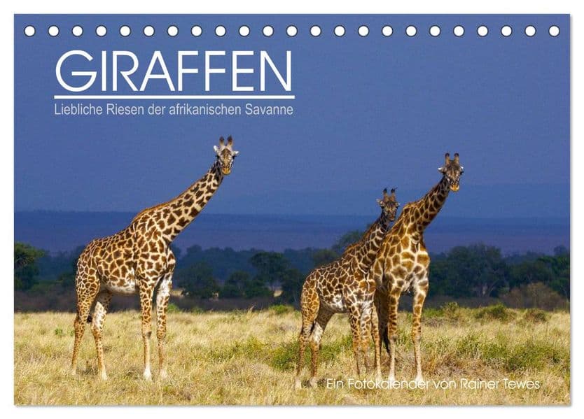 GIRAFFEN - Liebliche Riesen der afrikanischen Savanne (Tischkalender 2027 DIN A5 quer), CALVENDO Monatskalender