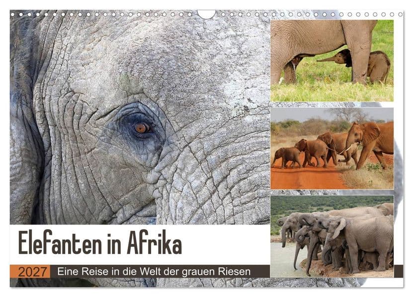 Elefanten in Afrika (Wandkalender 2027 DIN A3 quer), CALVENDO Monatskalender