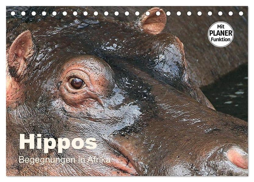 Hippos - Begegnungen in Afrika (Tischkalender 2027 DIN A5 quer), CALVENDO Monatskalender