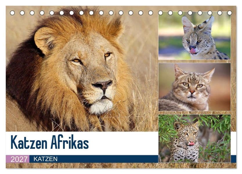 Katzen Afrikas (Tischkalender 2027 DIN A5 quer), CALVENDO Monatskalender
