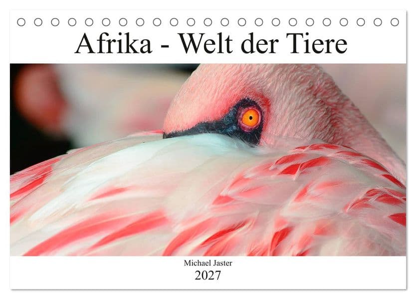 Afrika - Welt der Tiere (Tischkalender 2027 DIN A5 quer), CALVENDO Monatskalender