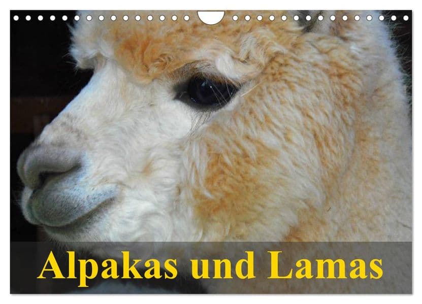 Alpakas und Lamas (Wandkalender 2027 DIN A4 quer), CALVENDO Monatskalender