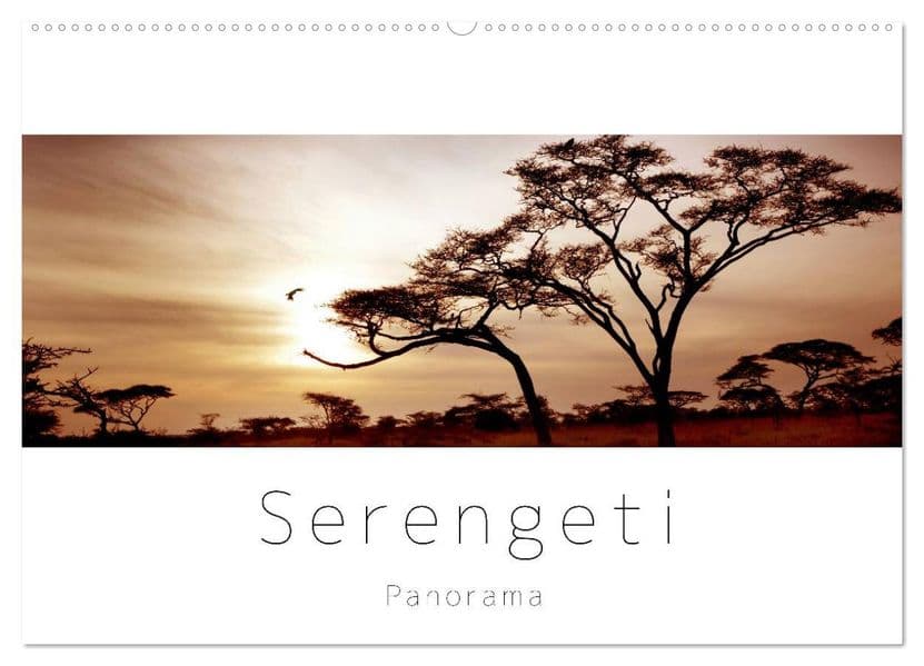 Serengeti Panorama (Wandkalender 2027 DIN A2 quer), CALVENDO Monatskalender