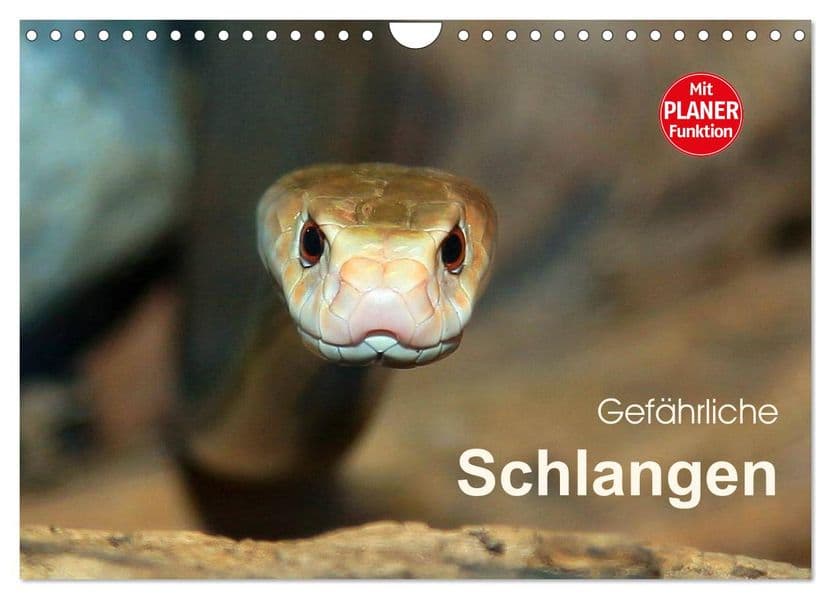 Gefährliche Schlangen (Wandkalender 2027 DIN A4 quer), CALVENDO Monatskalender