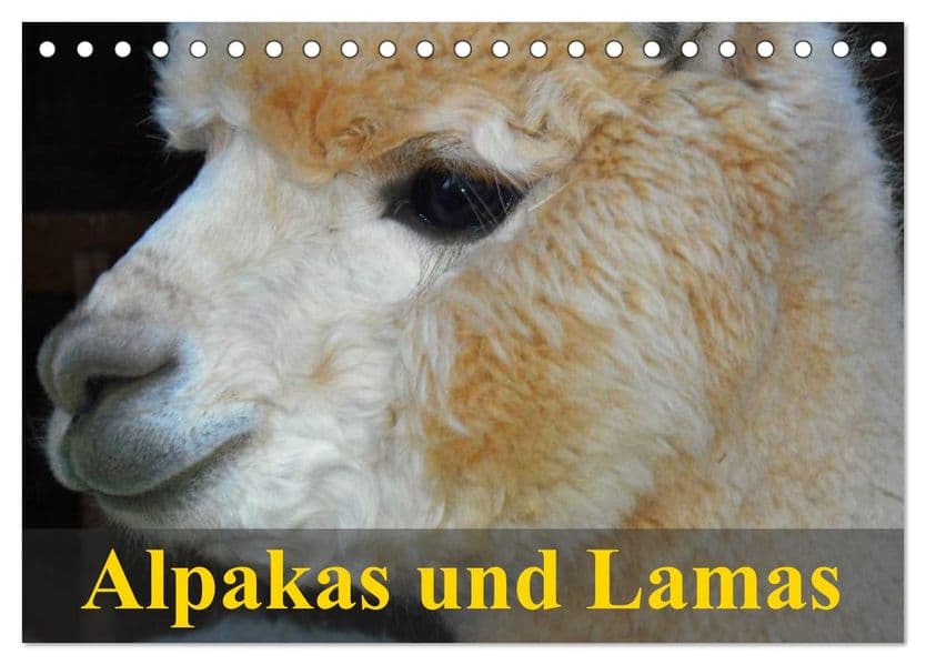Alpakas und Lamas (Tischkalender 2027 DIN A5 quer), CALVENDO Monatskalender
