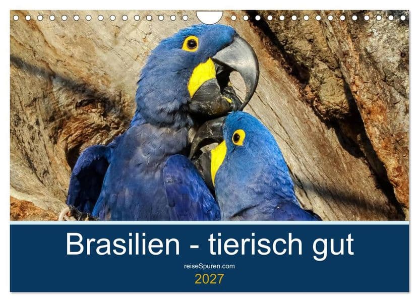 Brasilien tierisch gut 2027 (Wandkalender 2027 DIN A4 quer), CALVENDO Monatskalender