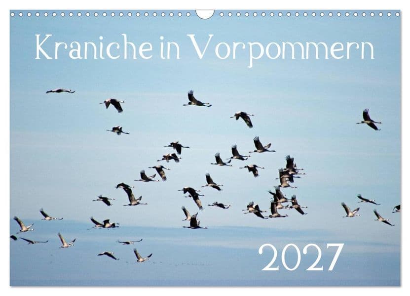Kraniche in Vorpommern (Wandkalender 2027 DIN A3 quer), CALVENDO Monatskalender