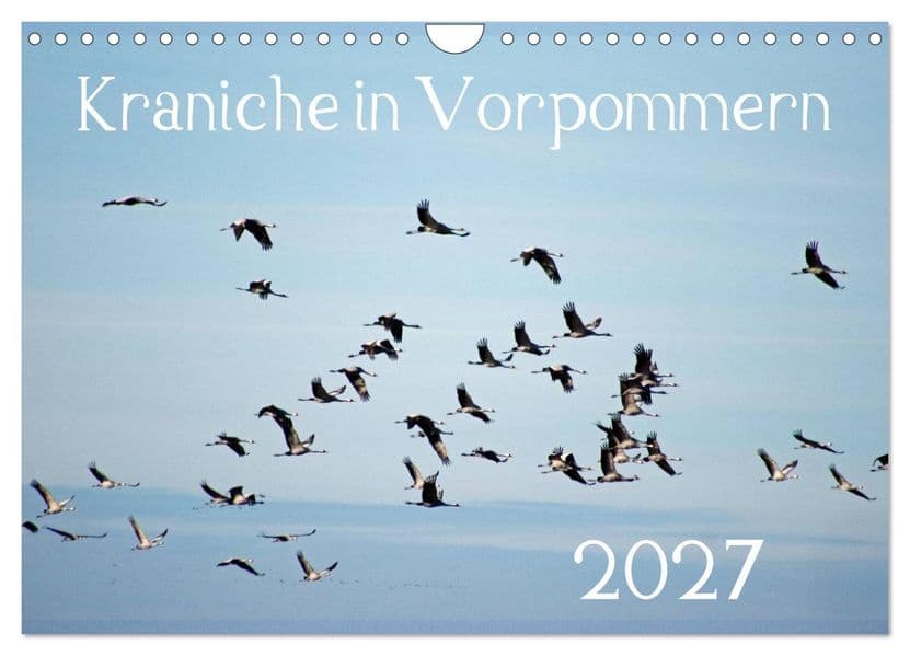 Kraniche in Vorpommern (Wandkalender 2027 DIN A4 quer), CALVENDO Monatskalender