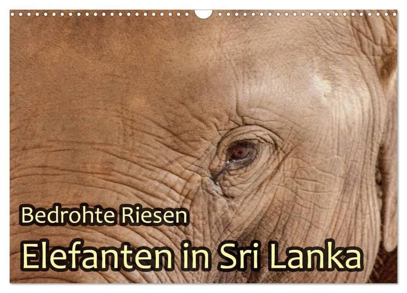 Bedrohte Riesen - Elefanten in Sri Lanka (Wandkalender 2027 DIN A3 quer), CALVENDO Monatskalender