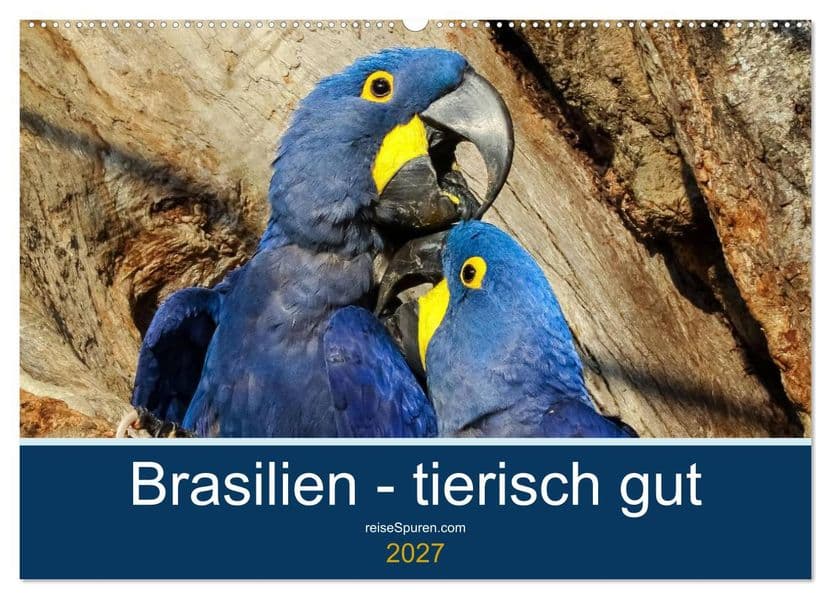 Brasilien tierisch gut 2027 (Wandkalender 2027 DIN A2 quer), CALVENDO Monatskalender