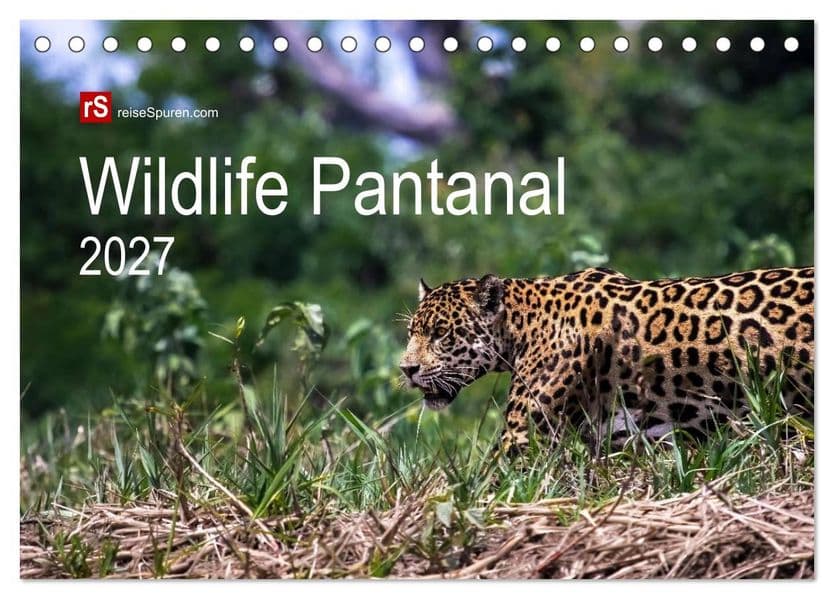 Wildlife Pantanal 2027 (Tischkalender 2027 DIN A5 quer), CALVENDO Monatskalender