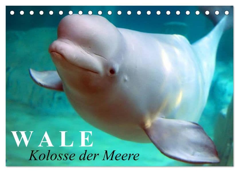 Wale - Kolosse der Meere (Tischkalender 2027 DIN A5 quer), CALVENDO Monatskalender